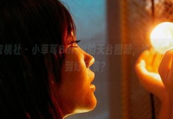 MiiTao蜜桃社 – 小草莓Berry的天台图册，谁说天气晴朗得不到好风景？