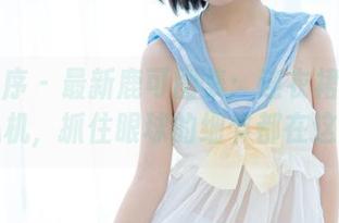 少女秩序 – 最新鹿可图集：连衣裙里的小心机，抓住眼球的细节都在这里